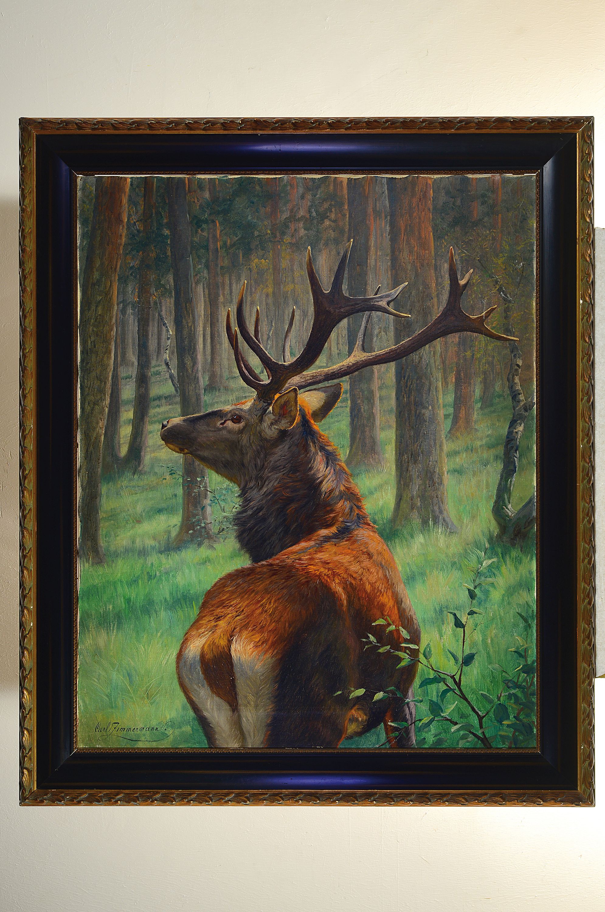 Detail k: Carl Zimmermann, 1864 Halberstadt-1930 Goslar, Hirsch im Wald, Öl/Lwd, links unten sign., ca. 100x80cm, R. ca. 118x98cm