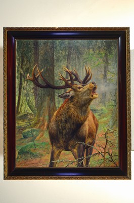 26744743k - Carl Zimmermann, 1864 Halberstadt-1930 Goslar,roaring deer in a dense forest, oil/canvas, signed lower right, approx. 100x80cm, frame approx. 118x98cm