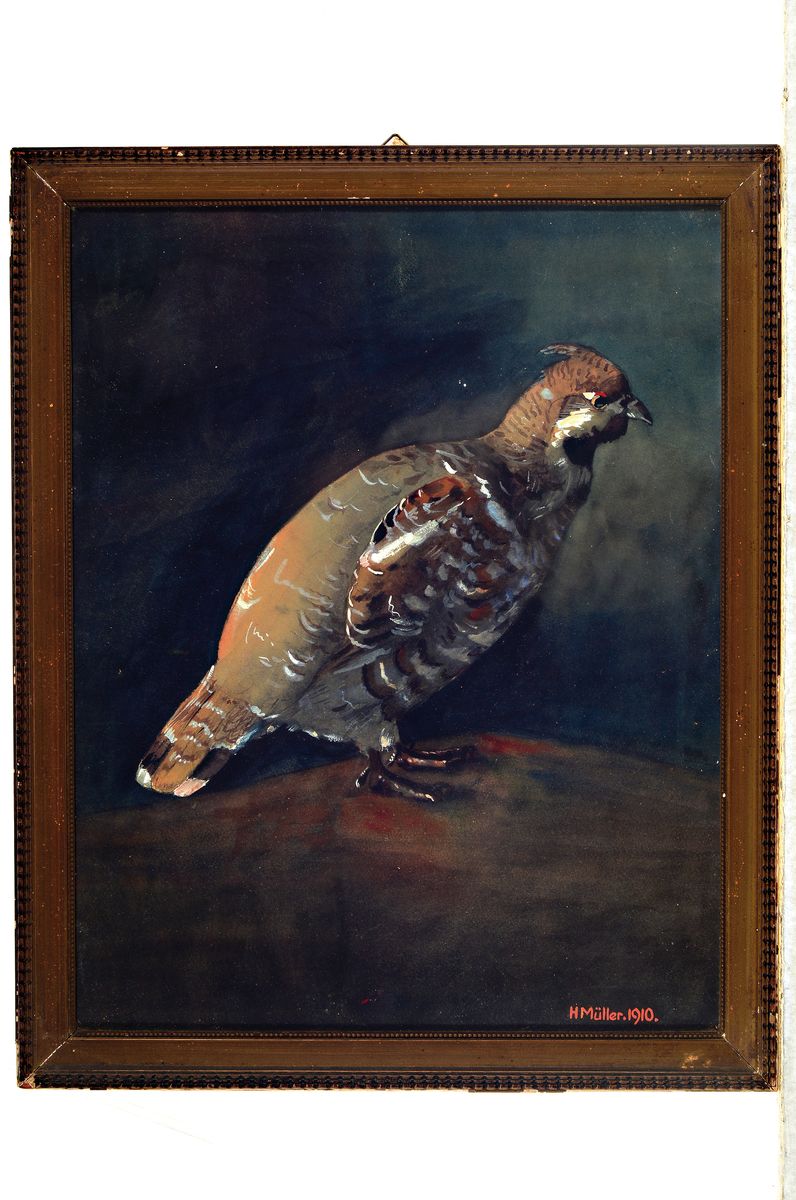 Detail k: Heinrich Anton Müller, 1865-1930, Haselhuhn im Profil, Gouache auf Papier, rechts unten signiert und dat. 1910, ca. 38x29cm, u.Gl., R. ca. 43x35cm