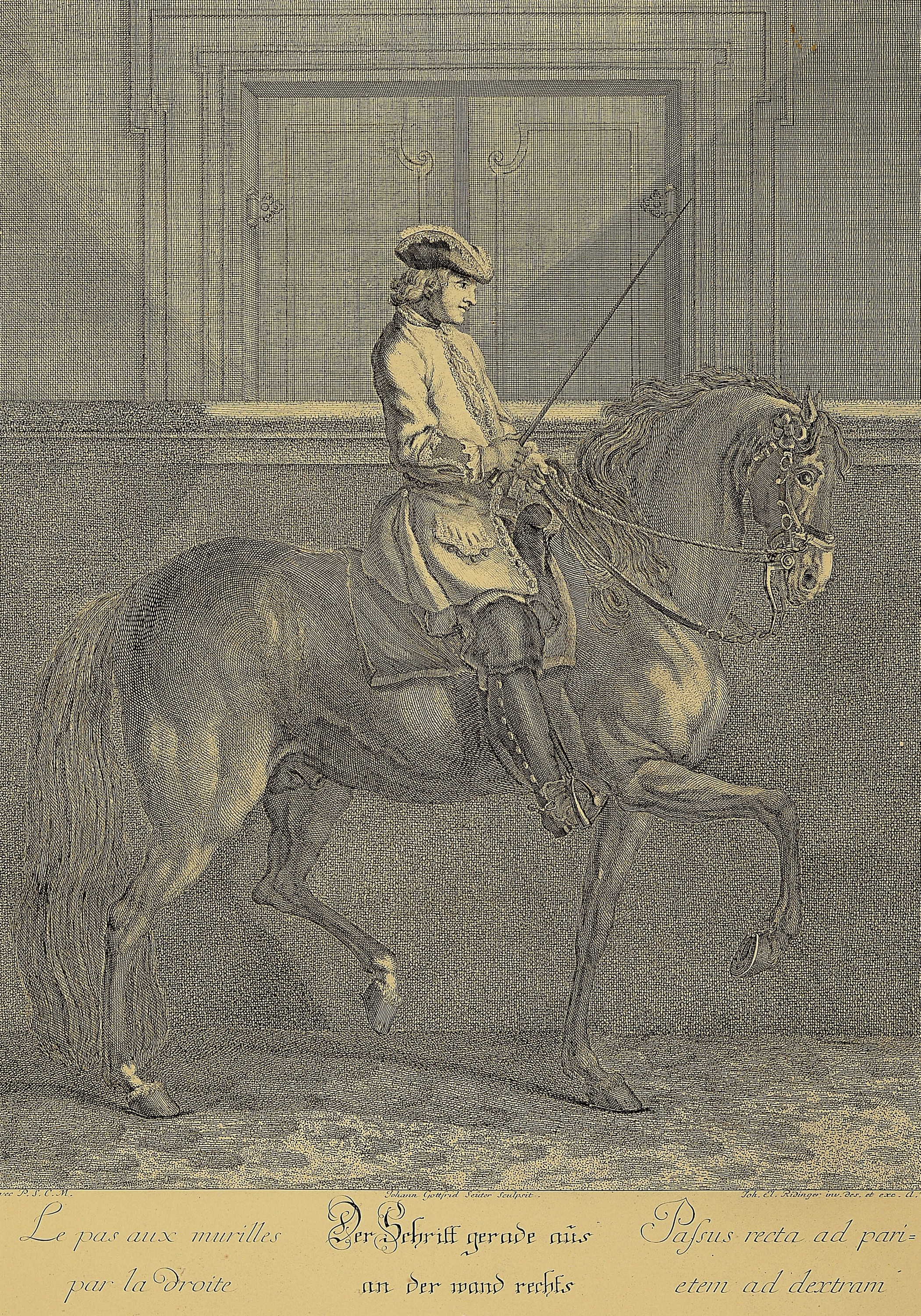 Johann Elias Ridinger (1698-1767): 17 Kupferstiche aus der Serie "Vorstellung und Beschreibung derer Schul- und Campagne Pferden nach ihren ...