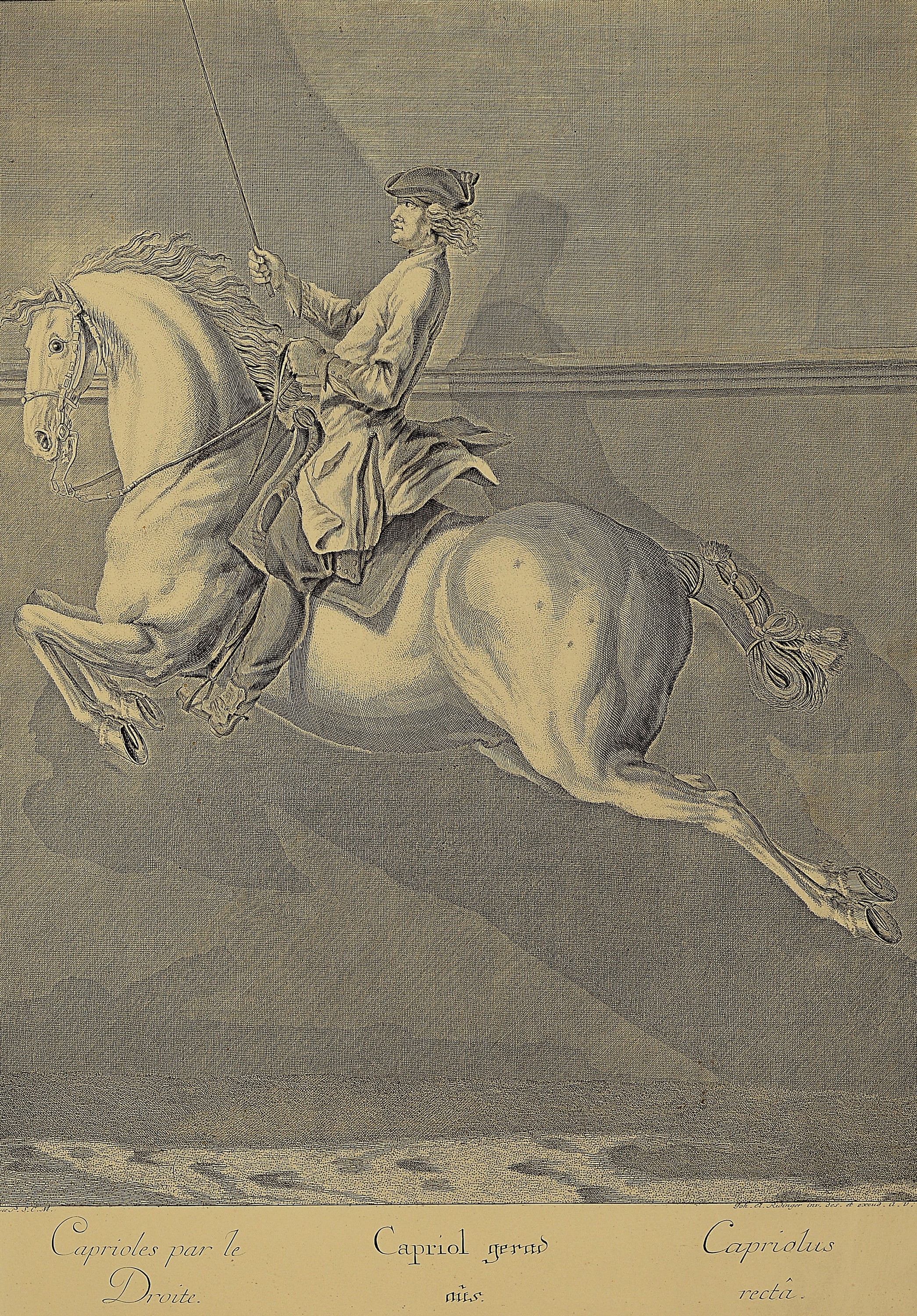 Detail a: Johann Elias Ridinger (1698-1767): 17 Kupferstiche aus der Serie "Vorstellung und Beschreibung derer Schul- und Campagne Pferden nach ihren ...