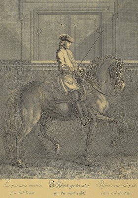 Image Johann Elias Ridinger (1698-1767): 17 Kupferstiche aus der Serie "Vorstellung und Beschreibung derer Schul- und Campagne Pferden nach ihren Lectionen" (1760)