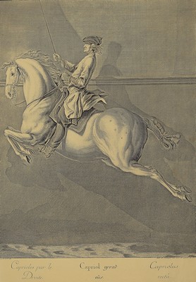 26750553a - Johann Elias Ridinger (1698-1767): 17 Kupferstiche aus der Serie "Vorstellung und Beschreibung derer Schul- und Campagne Pferden nach ihren Lectionen" (1760)