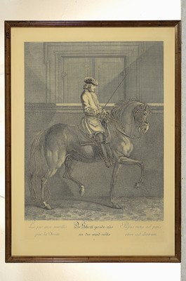 26750553k - Johann Elias Ridinger (1698-1767): 17 Kupferstiche aus der Serie "Vorstellung und Beschreibung derer Schul- und Campagne Pferden nach ihren Lectionen" (1760)