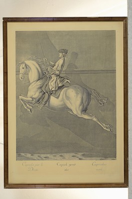 26750553l - Johann Elias Ridinger (1698-1767): 17 copper engravings from the series "Presentation and description of the school and campaign horses after their lessons" (1760), copper engravingsNo. 8, 9, 10, 12, 15, 29, 30 , 31, 34, 36, 37,39, 41, 42, 44, 45, 46, each inscribed and monogrammed I.E.R., some on the left. stained,each framed under glass 38x31 cm