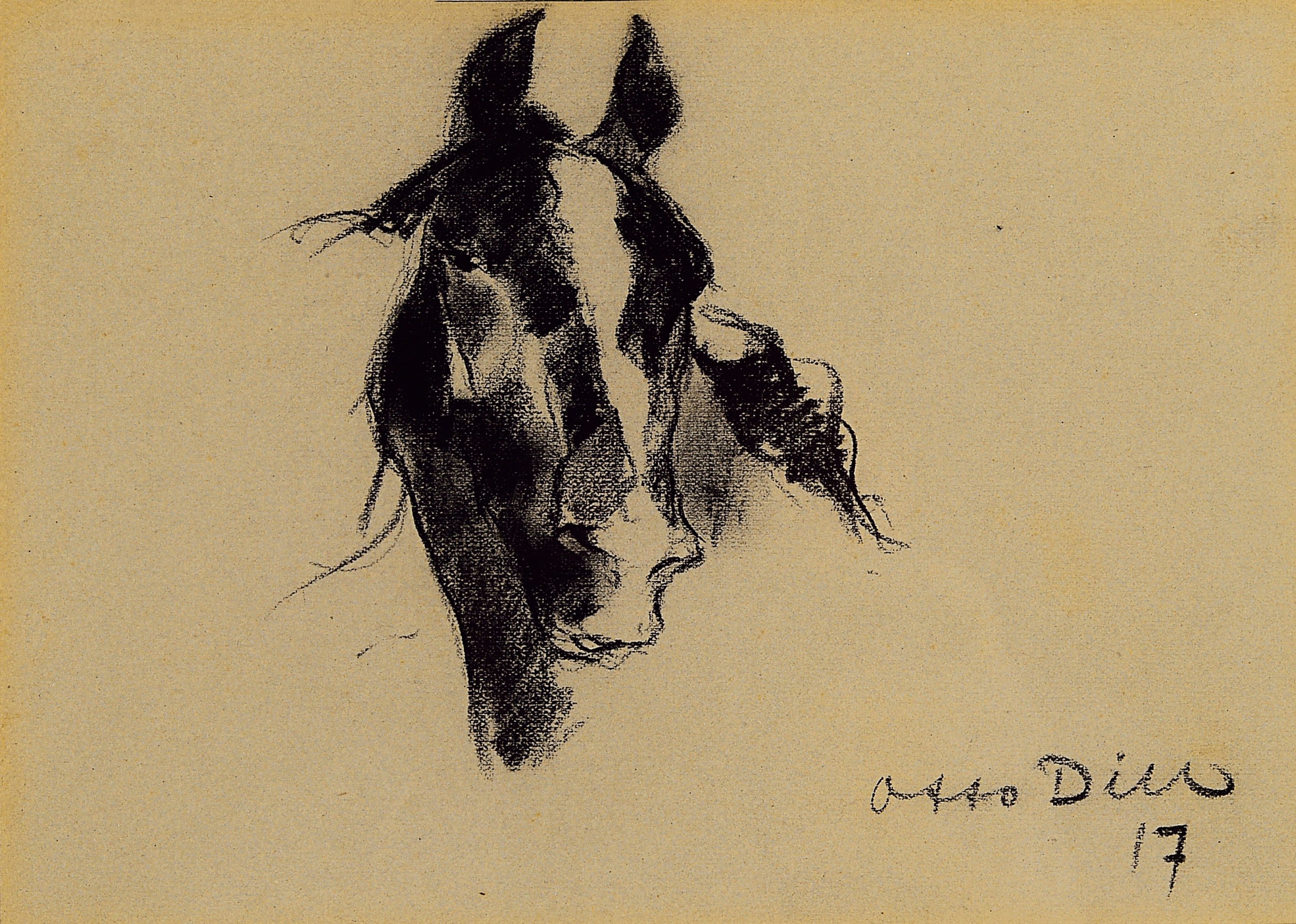 Otto Dill, 1884 Neustadt - 1957 Bad Dürkheim, zwei Kohlezeichnungen/Skizzen, Kuh und Pferd, datiert 16/17, beide signiert, 16 x 22.5 cm, unter Glas, ...
