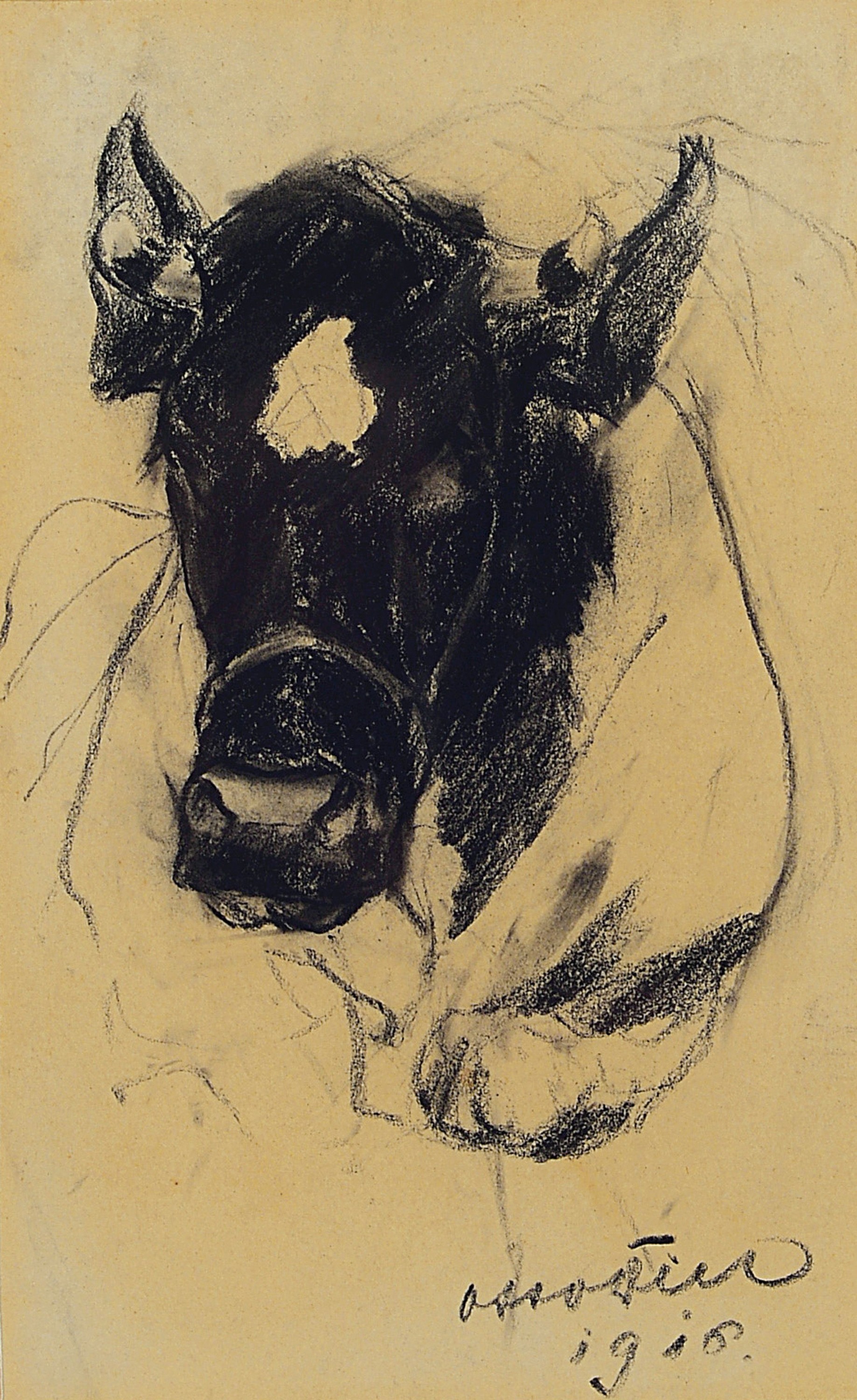 Detail d: Otto Dill, 1884 Neustadt - 1957 Bad Dürkheim, zwei Kohlezeichnungen/Skizzen, Kuh und Pferd, datiert 16/17, beide signiert, 16 x 22.5 cm, unter Glas, ...