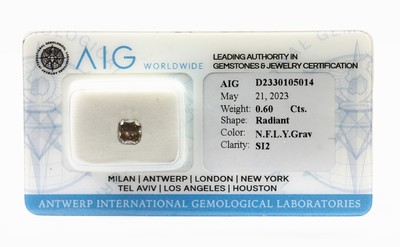 Image 26762616 - Loose diamond, 0.60 ct natural fancy light yellowish Gray/si2, sealed with AIG -expertise Valuation Price: 680, - EUR