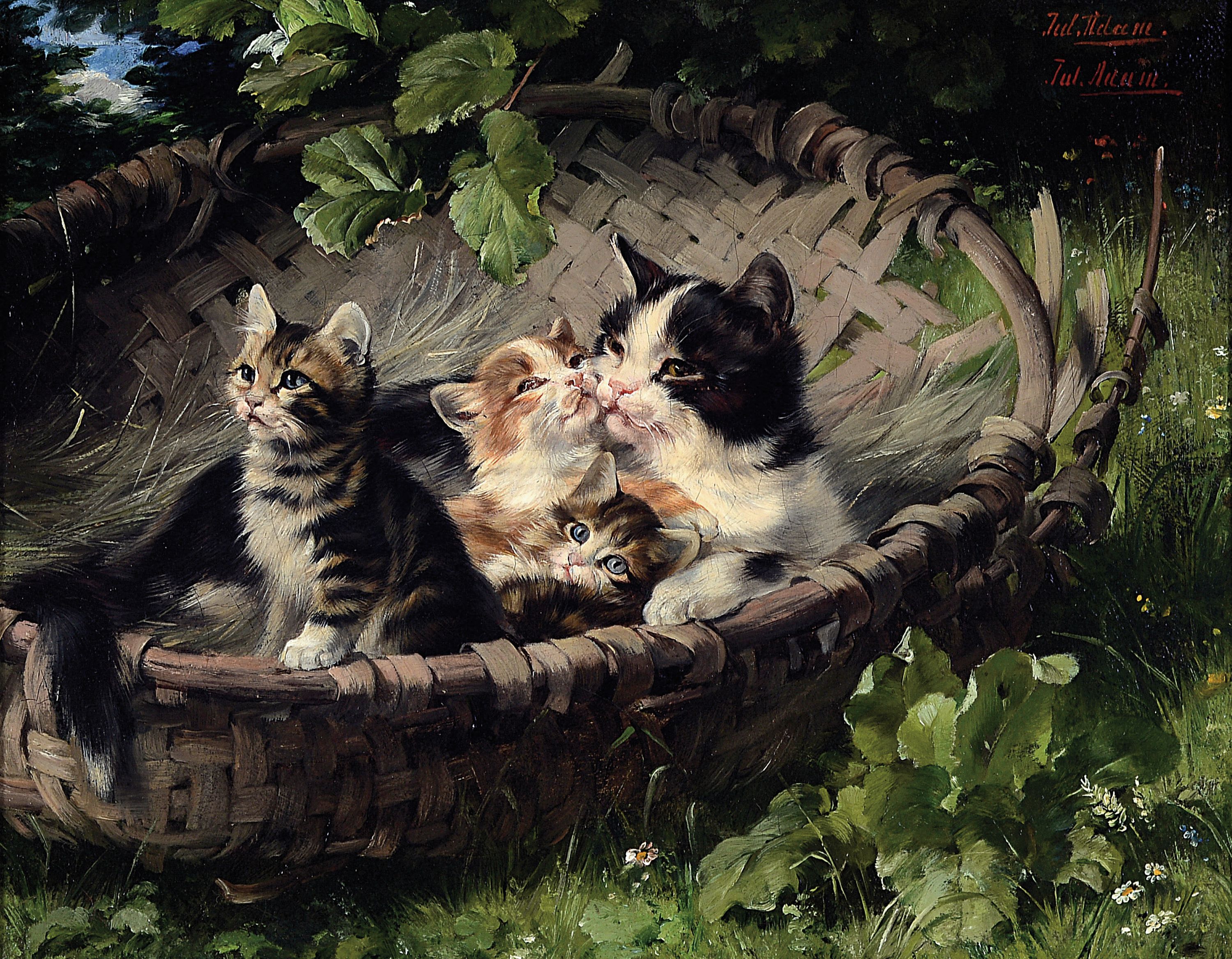 Julius Adam II., 1852-1913 München, Katze mit drei Kätzchen im Weidenkorb, Öl/Lwd, rechts oben 2x signiert, ca. 22x27cm, rückseitig betitelt: ...