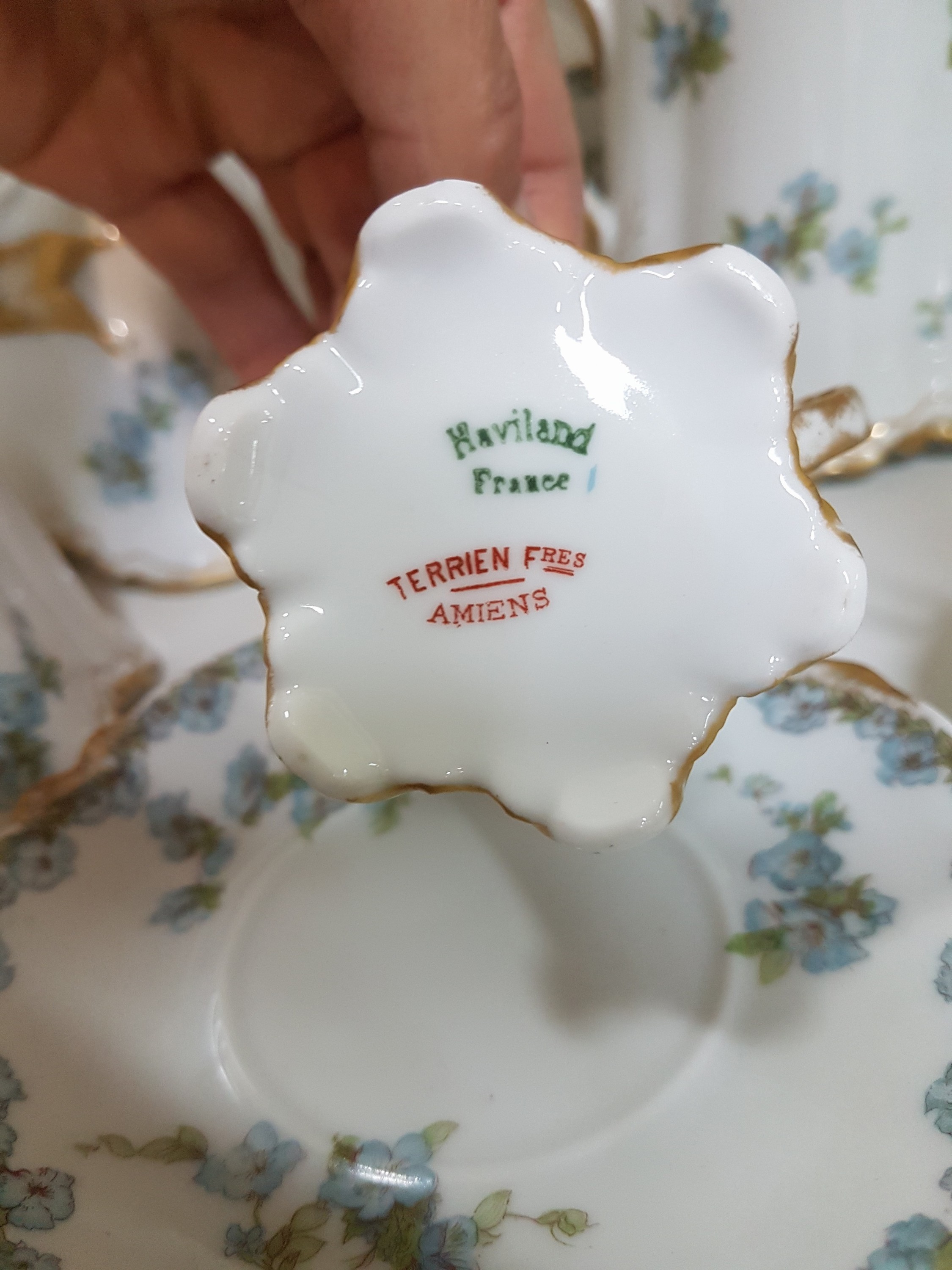 Detail f: Kaffeeservice, Havilan Limoges, um 1900, dünnwandiges Porzellan mit Goldstaffage und Vergissmeinnicht-Dekor, Kanne, Zuckerdose, Milchkännchen, 8 ...