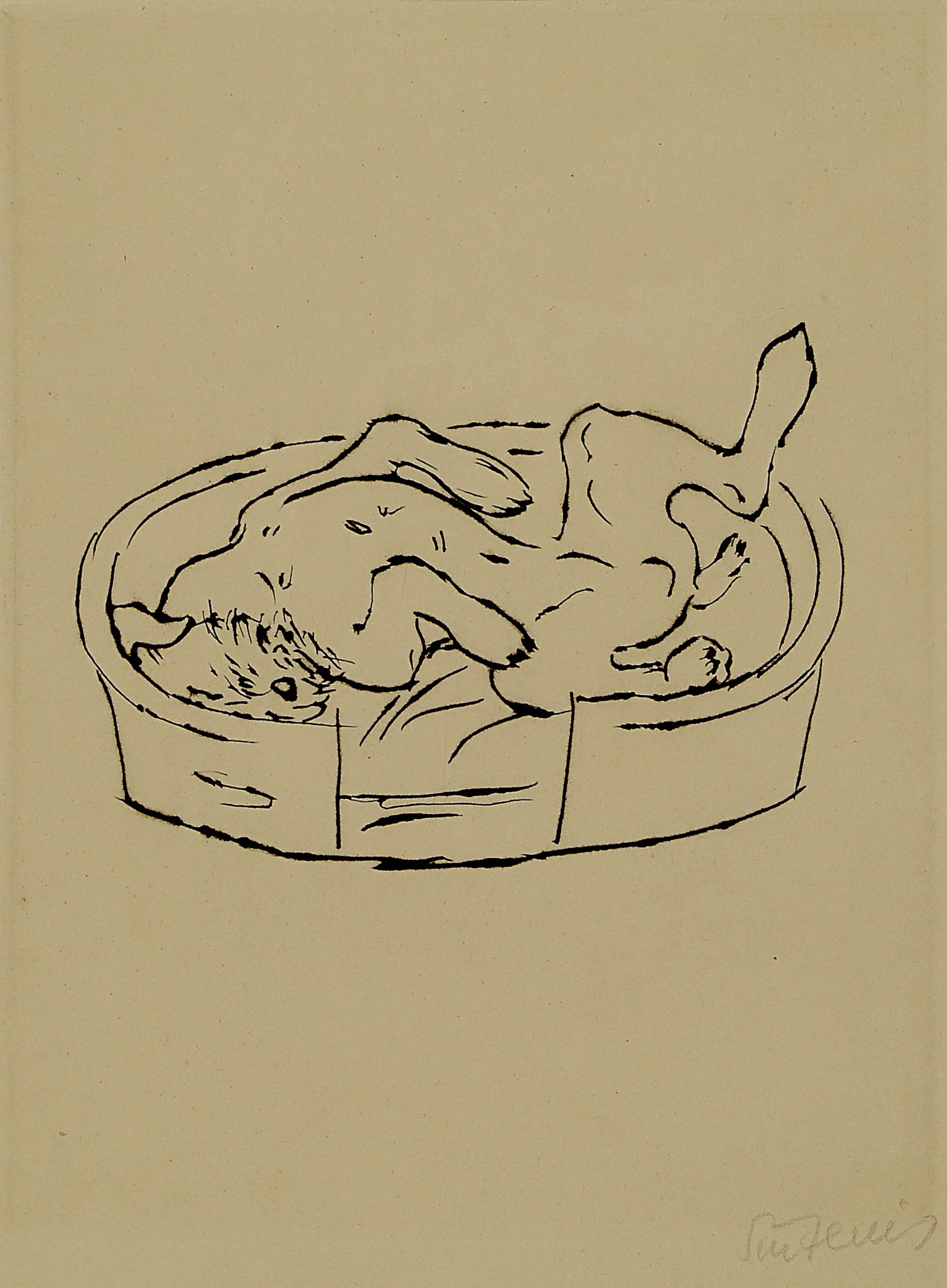 Detail a: Rene Sintenis, 1888 Glatz/Schlesien-1965 Berlin, 3 Radierungen, Tierdarstellungen, springendes Pferd Ed. 44/50, Hund im Körbchen, Esel, je ...