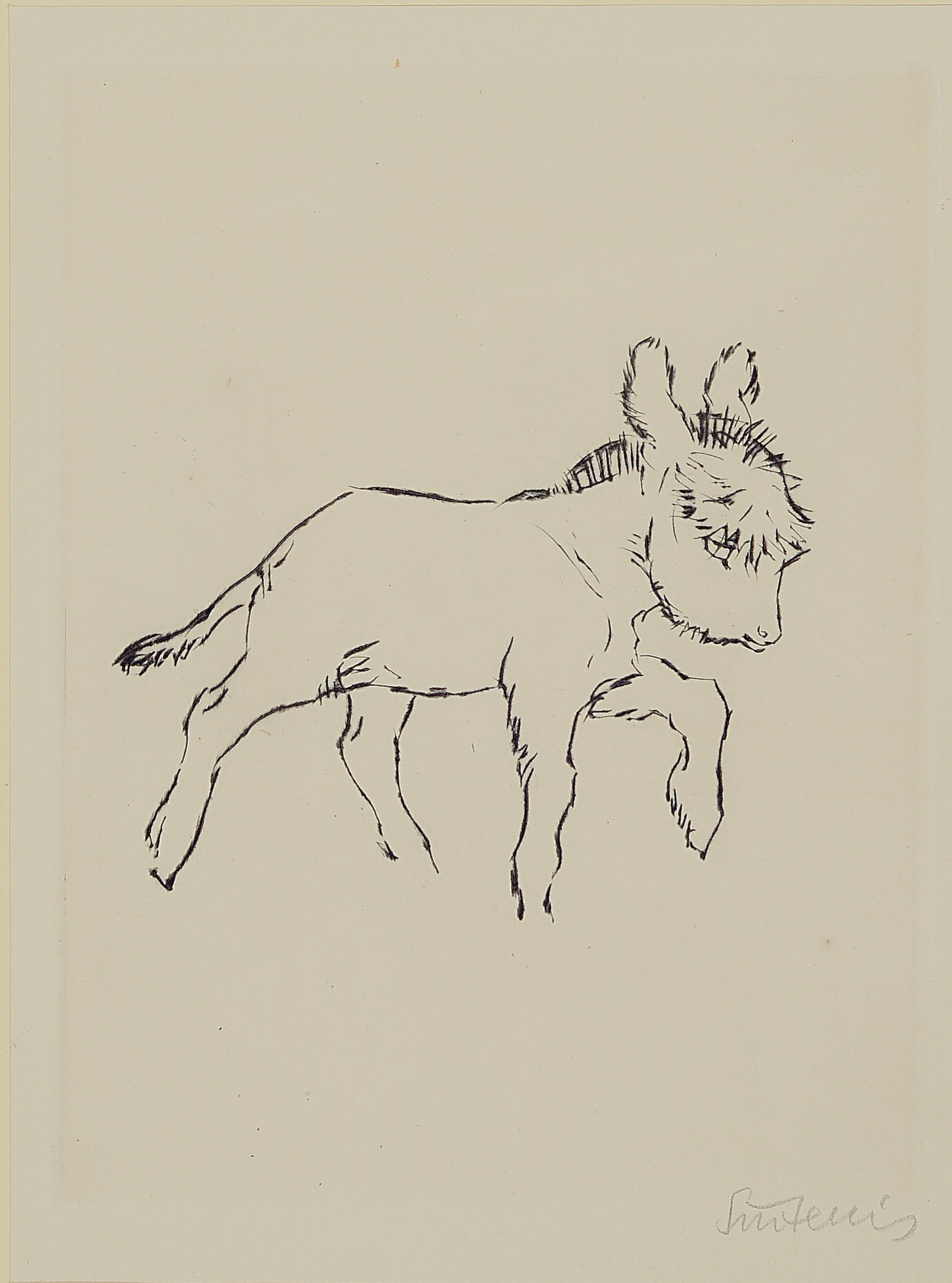 Detail b: Rene Sintenis, 1888 Glatz/Schlesien-1965 Berlin, 3 Radierungen, Tierdarstellungen, springendes Pferd Ed. 44/50, Hund im Körbchen, Esel, je ...