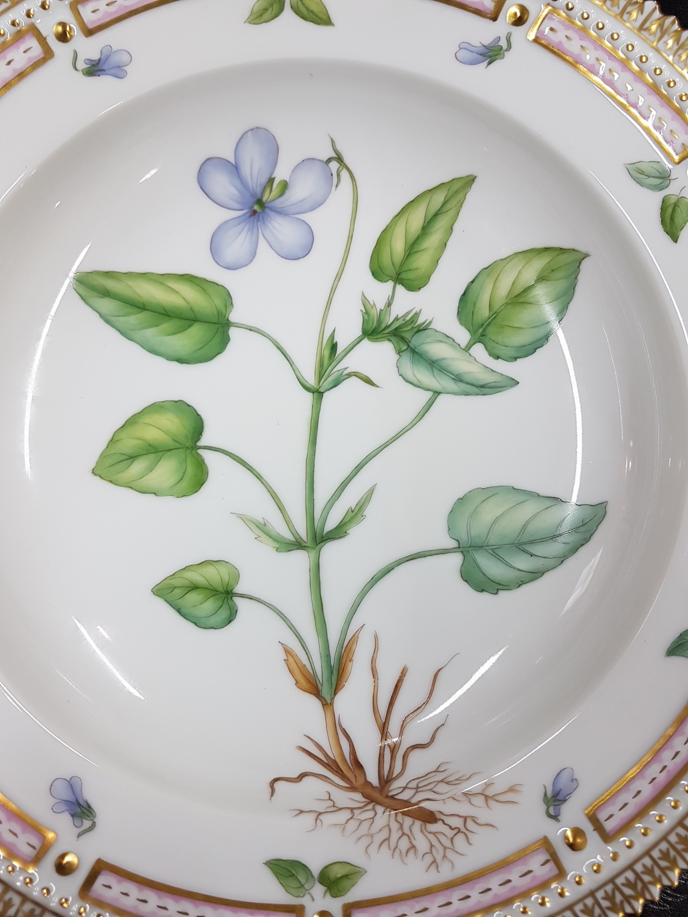 Detail b: Tiefer Teller, Kgl. Kopenhagen, Serie Flora Danica, Porzellan, Goldkantenrand, bemalt mit Viola montana, D. ca. 22cm, in orig. Box