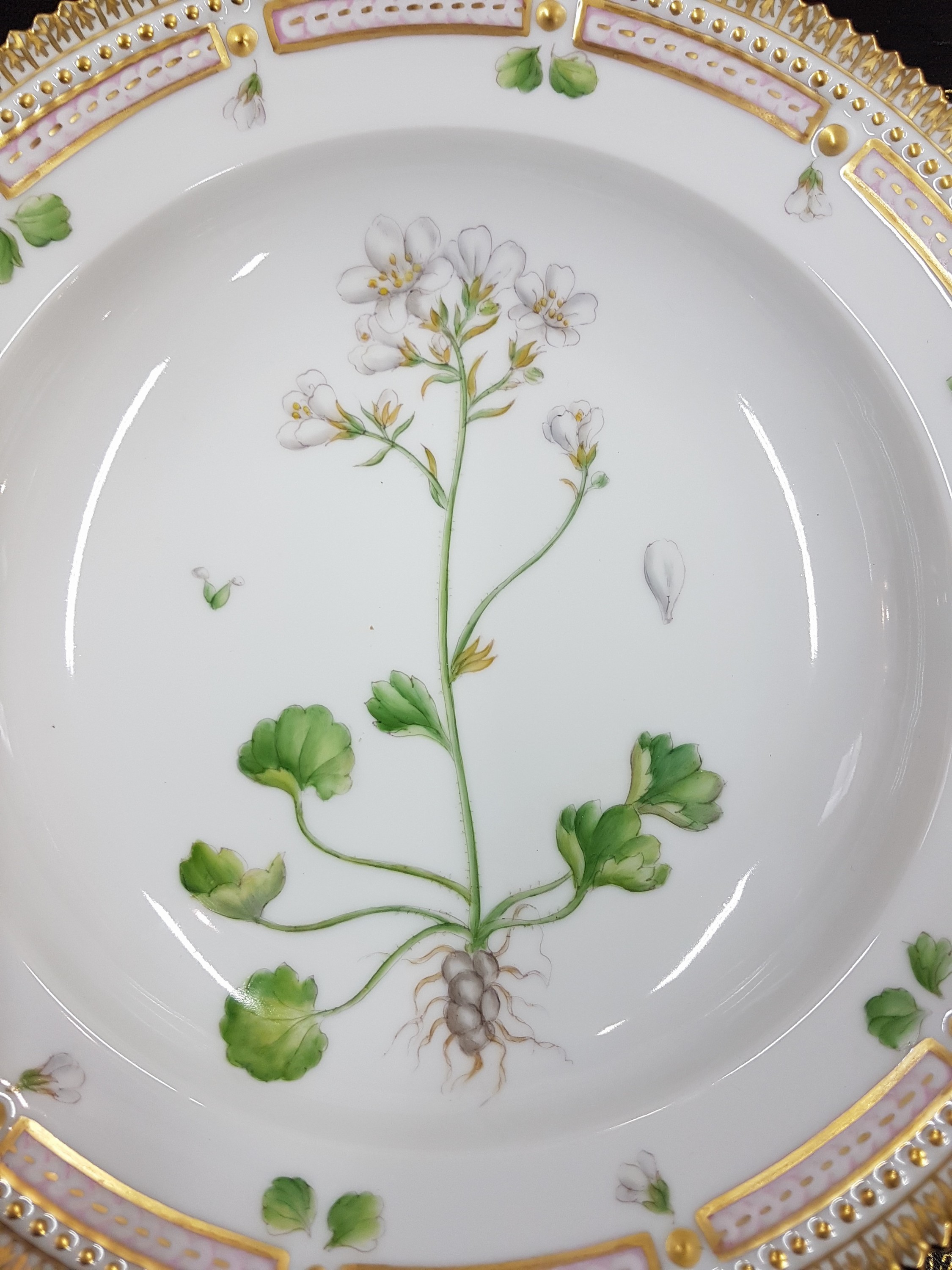 Detail b: Tiefer Teller, Kgl. Kopenhagen, Serie Flora Danica, Porzellan, Goldkantenrand, bemalt mit Saxifraga granulata, D. ca. 22cm, in orig. Box