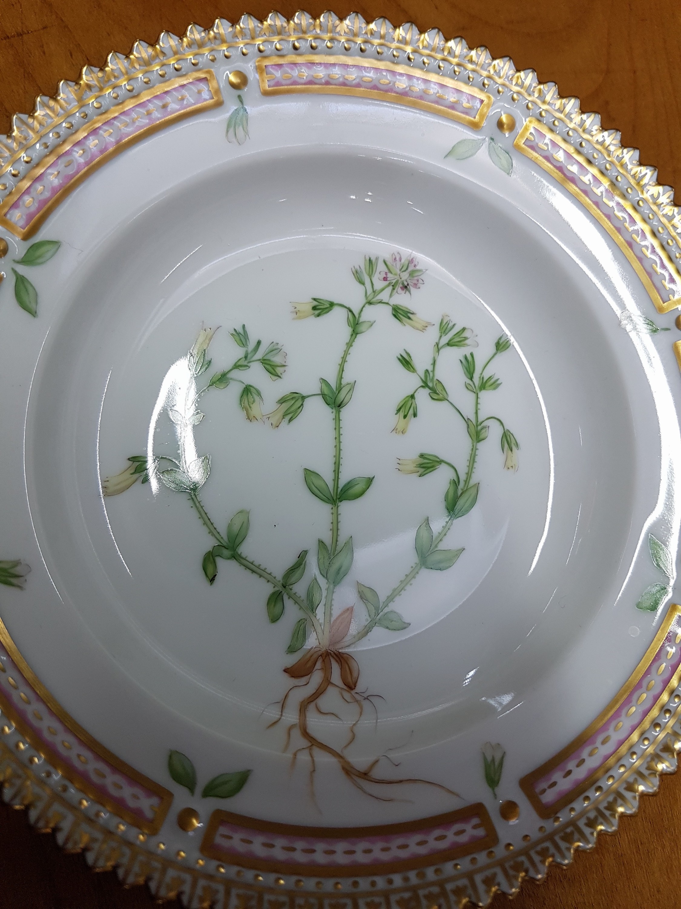 Detail b: Kleiner Beilagenteller, Kgl. Kopenhagen, Serie Flora Danica, Porzellan, Goldkantenrand, bunte bemalt mit Cerastium glutinorum, H. ca. 3cm, D. ca. ...