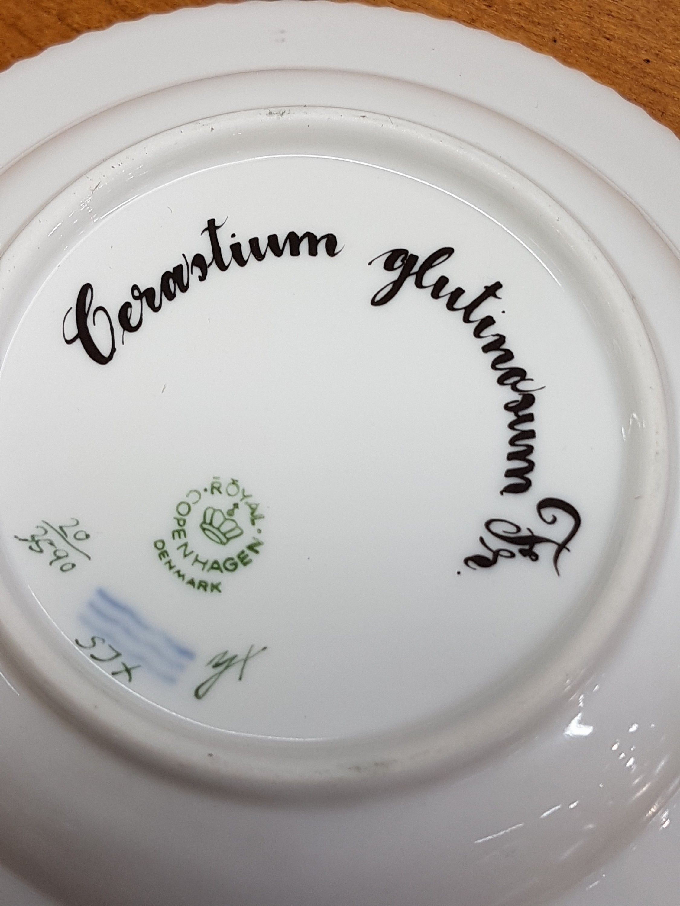 Detail c: Kleiner Beilagenteller, Kgl. Kopenhagen, Serie Flora Danica, Porzellan, Goldkantenrand, bunte bemalt mit Cerastium glutinorum, H. ca. 3cm, D. ca. ...