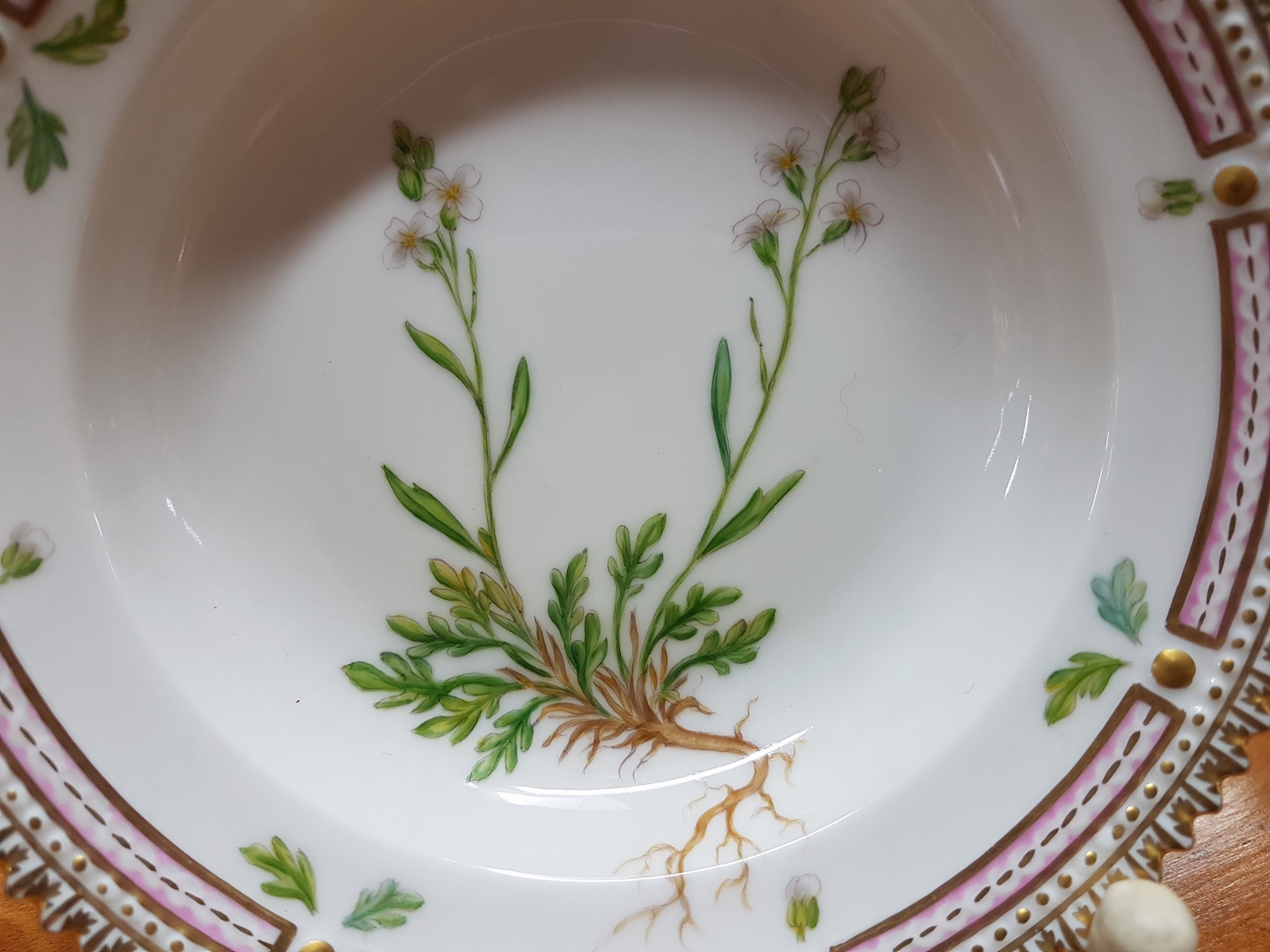 Detail b: Kleiner Beilagenteller, Kgl. Kopenhagen, Serie Flora Danica, Porzellan, Goldkantenrand, bunte bemalt mit Cardamine faeroeensis, H. ca. 3cm, D. ca. ...