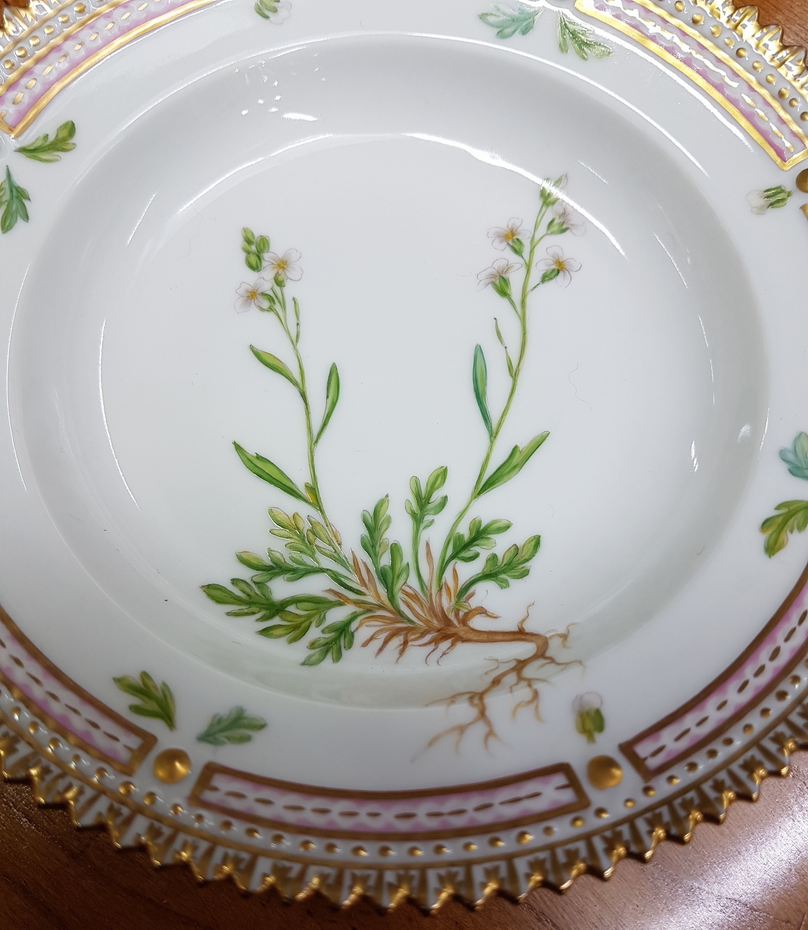 Detail c: Kleiner Beilagenteller, Kgl. Kopenhagen, Serie Flora Danica, Porzellan, Goldkantenrand, bunte bemalt mit Cardamine faeroeensis, H. ca. 3cm, D. ca. ...