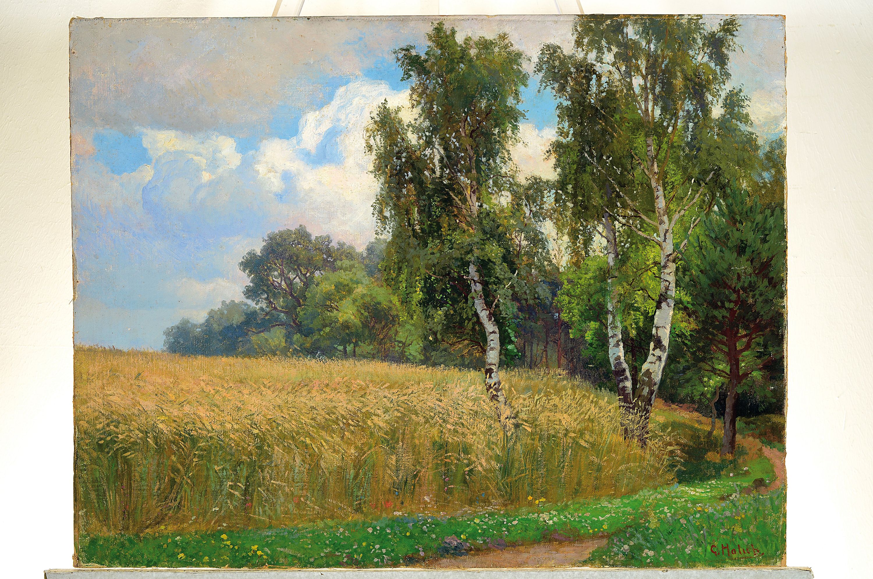 Detail k: Georg Holub, 1861 Brünn-1919 Wien, Studium an der Akademie Wien, volles Weizenfeld mit Birken am Waldrand, rechts unten signiert in rot, Öl/Lwd auf ...
