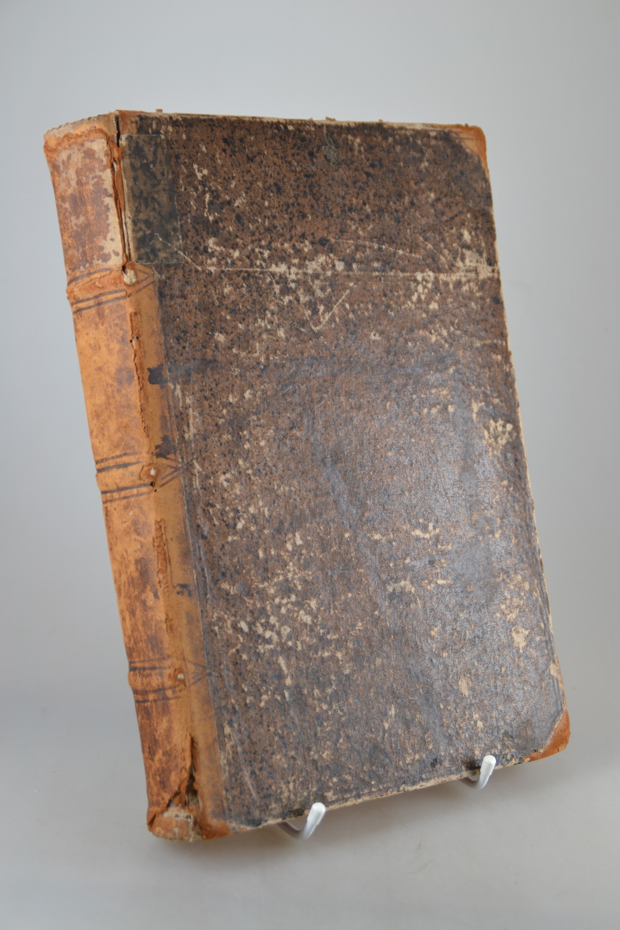 Detail a: Gerardus de Roo (?-1589): Annales, oder Historische Chronick der Durchleuchtigisten Fürsten und Herren, Ertzhertzogen zu Österreich Habspurgischen ...