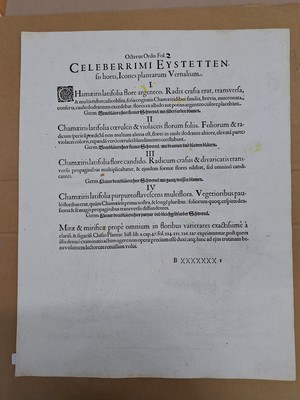 26774711h - 4 Kupferstiche aus Hortus Eystettensis, Basilius Besler, 1561-1629