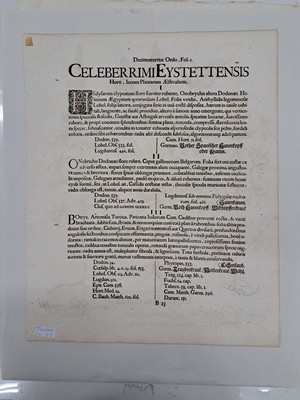 26774712k - 5 Kupferstiche aus Hortus Eystettensis, Basilius Besler, 1561-1629