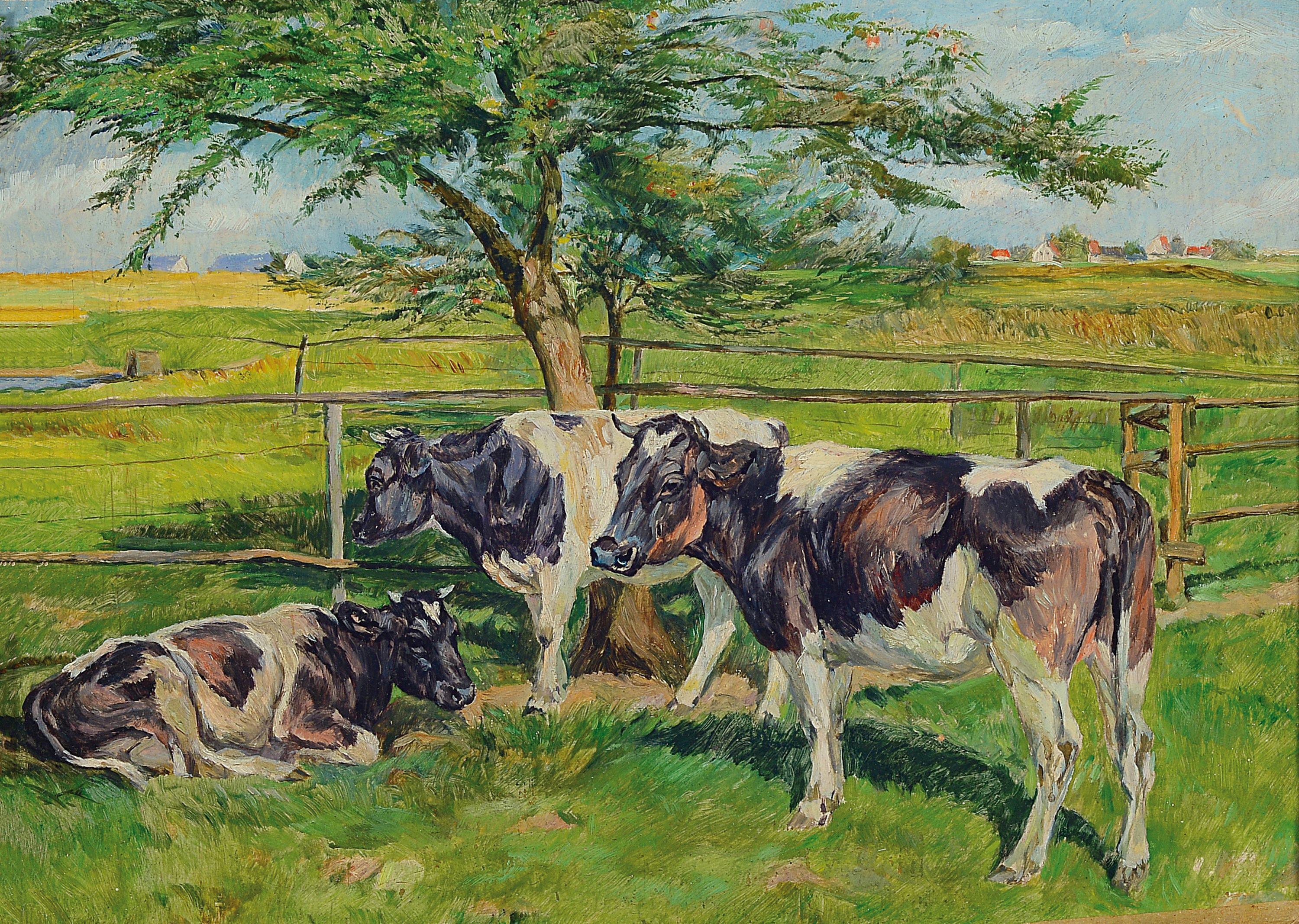 Willy Tag, 1886 Auerbach-1980 Eschdorf bei Dresden, Drei Kühe im Schatten eines Baumes auf der Weide, Öl/Malkarton, rechts unten sign., ca. ...