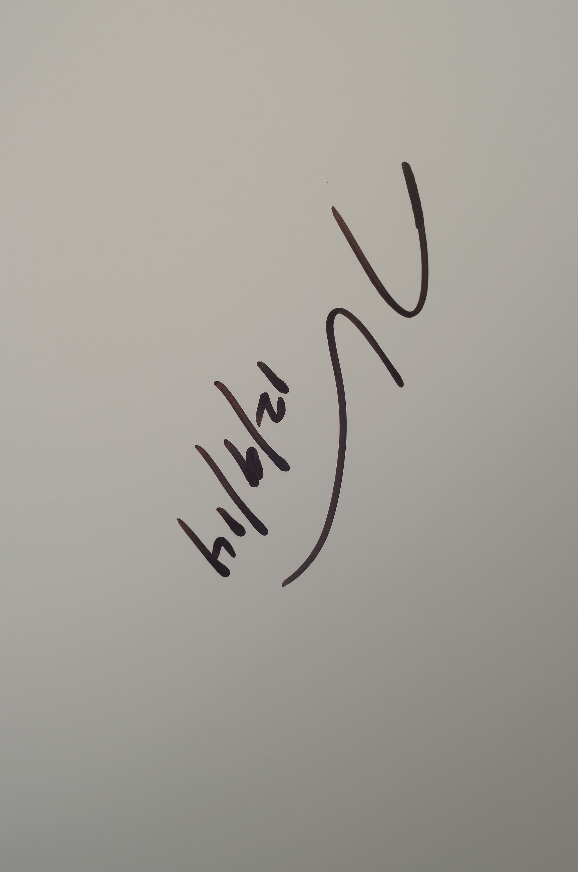 Detail a: Jeff Koons, 1955, Offsetlithografie, Hayward Gallery, London 2014, handsign., und datiert, ca. 76x51 cm
