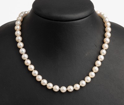 Image 26786176 - Chain of cultured pearls with 14 kt gold clasp