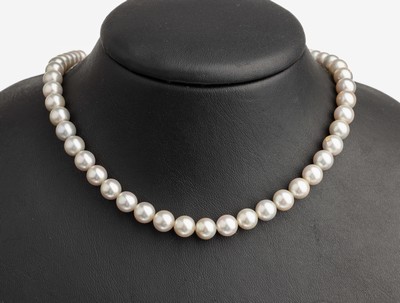 Image 26786181 - Chain made of cultured pearls with 18 kt gold sphere clasp