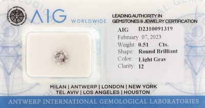 Image Loser Brillant 0.51 ct, Light Gray/p2, verschweißt, mit AIG Expertise, 02/2023 ...