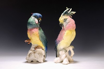 Image 2 porcelain figures, Ens Volkstedt, 1930s, cockatoo and parrot, colorfully painted, one ...