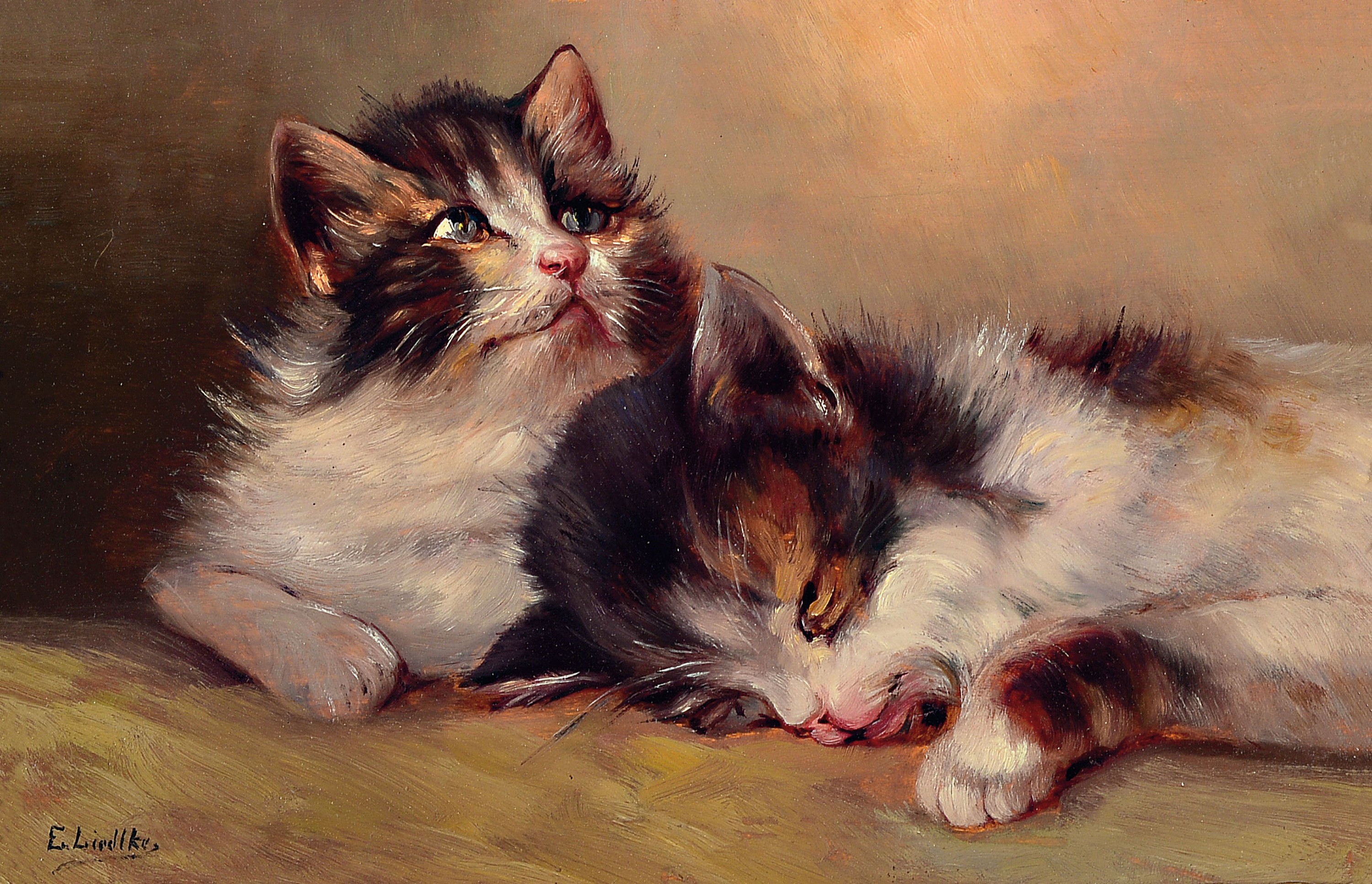 E. Liedtke, Maler um 1900, zwei Katzen, Öl/Holz, signiert, ca. 20 x 30 cm, Rahmen ca. 40 x 50 cm