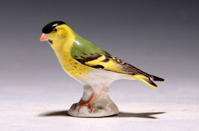 Image Porcelain figure, Meissen, around 1900, greenfinch, colorfully painted, height approx. ...