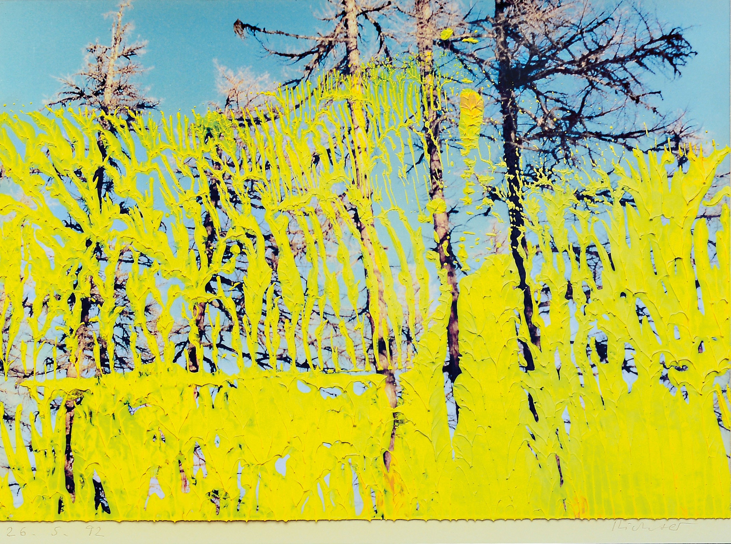Gerhard Richter, geb. 1932, Offset-Lithografie, dat. 2605.92, unter Glas gerahmt, Motiv ca. 31,5 x 42 cm, gesamt ca. 64 x 51 cm