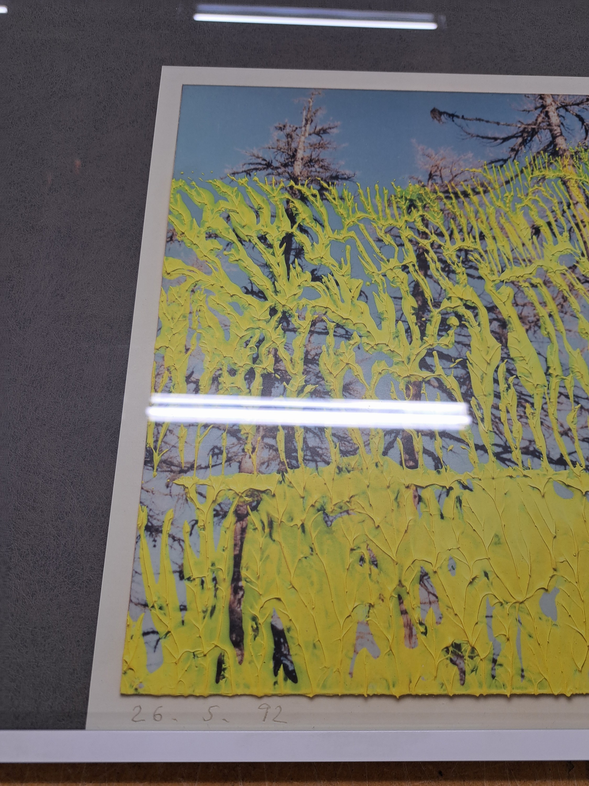 Detail b: Gerhard Richter, geb. 1932, Offset-Lithografie, dat. 2605.92, unter Glas gerahmt, Motiv ca. 31,5 x 42 cm, gesamt ca. 64 x 51 cm