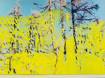 Image Gerhard Richter, born 1932, offset lithograph, dated 2605.92, framed under glass, motif ...