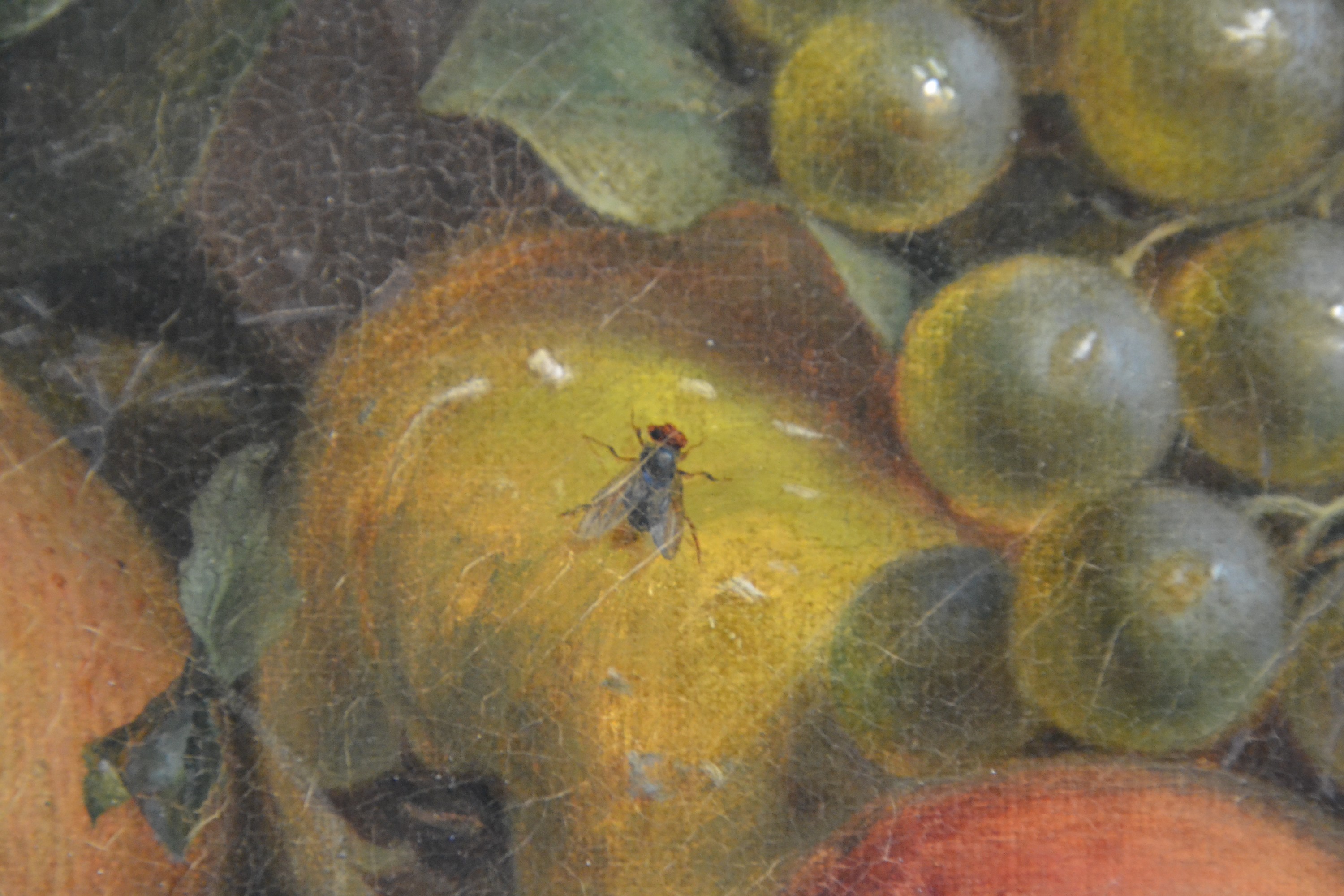 Detail i: Unbekannter Künstler des 18.Jh., Früchte- und Blumenstillleben, Vielfalt an Blüten, Obst und Insekten, fragmentarische Reste einer Signatur, ...