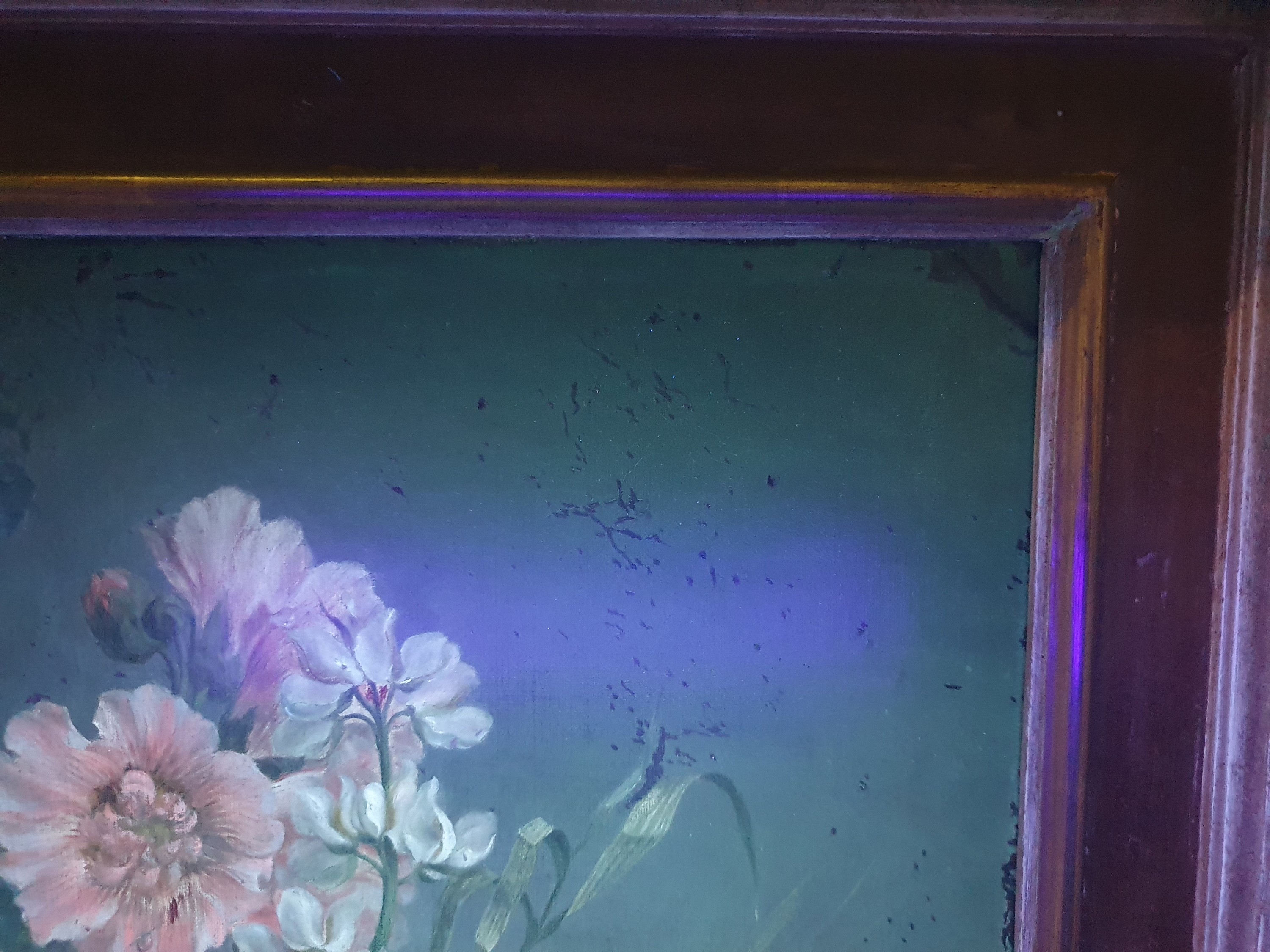 Detail p: Unbekannter Künstler des 18.Jh., Früchte- und Blumenstillleben, Vielfalt an Blüten, Obst und Insekten, fragmentarische Reste einer Signatur, ...