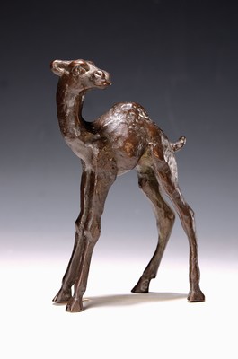 Image Rudolf Kipp, 1900-1981 Frankfurt a.M., bronze sculpture, young dromedary, signed on the ...