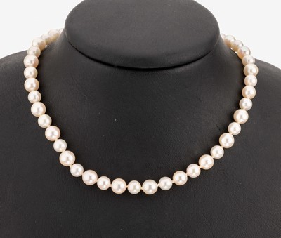 Image Cultured pearl-necklace , endless, alternating cultured akoya pearls in 2 sizes, diam. ...