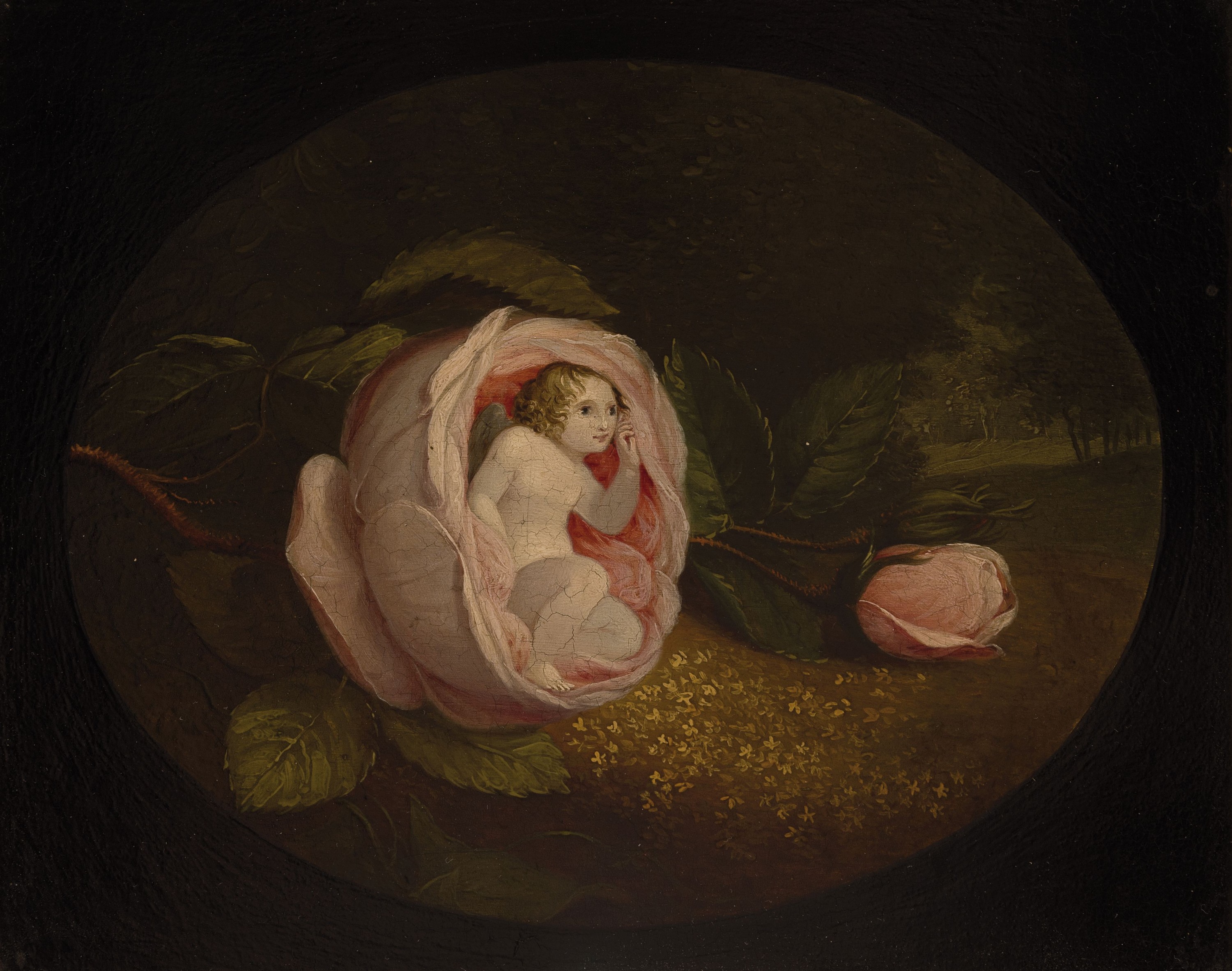 Ungedeuteter Künstler des 18.Jh., Elfe in Rosenblüte vor Waldlichtung, Ausschnitt im Oval, Öl/Holz, verso sekundär bezeichnet "Jaques ...
