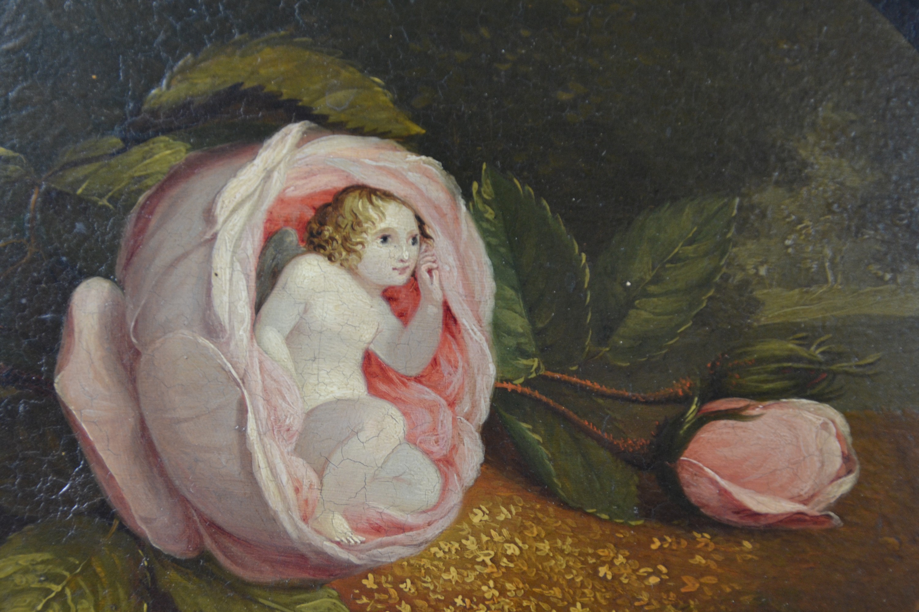 Detail a: Ungedeuteter Künstler des 18.Jh., Elfe in Rosenblüte vor Waldlichtung, Ausschnitt im Oval, Öl/Holz, verso sekundär bezeichnet "Jaques ...