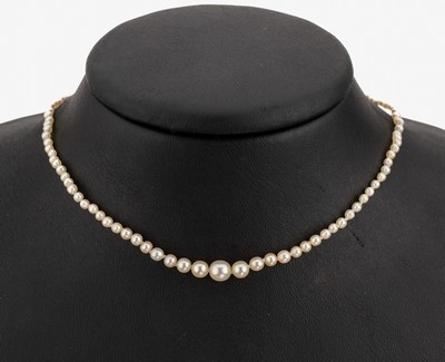 Image Pearl-necklace, approx. 1920 , tapering orient pearls, diam. approx. 2.1-5.4 mm, ...