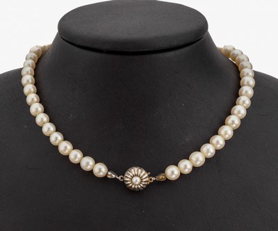 Image Cultured pearl-necklace with 14 kt gold clasp , WG 585/000, cultured akoya pearls, diam. ...