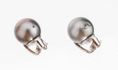 Image Pair of 14 kt gold pearl-ear clips , WG 585/000, 2 silvergrey cultured tahitian pearls, ...