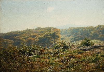 Image 26821228 - Hermann Ottomar Herzog, 1832-1932, Weite hügelige Landschaft mit Rehen, ...
