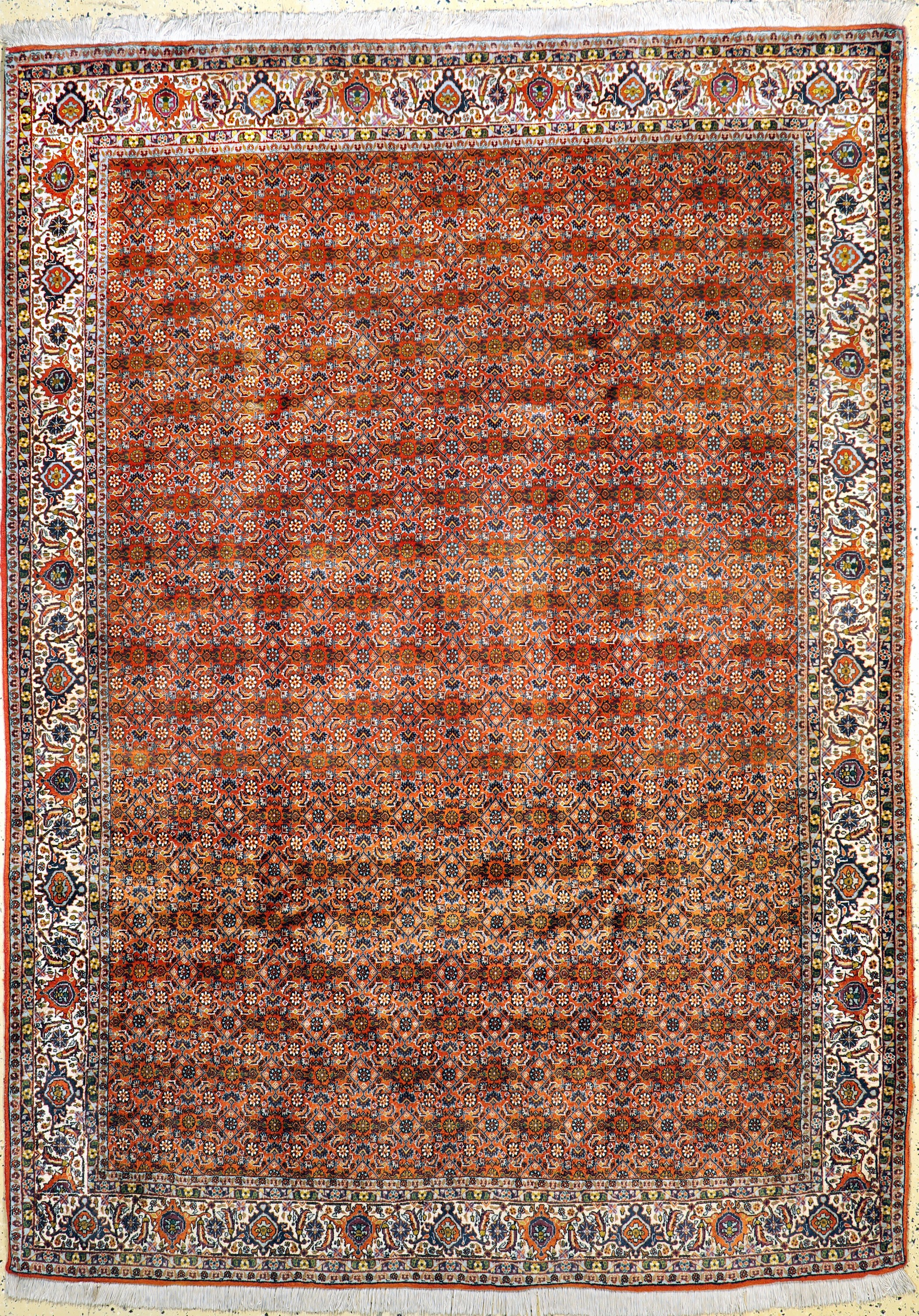 Bidjar fein, Persien, Ende 20.Jhd, Korkwolle auf Baumwolle, ca. 289 x 209 cm, EHZ: 2 (Abrasch)