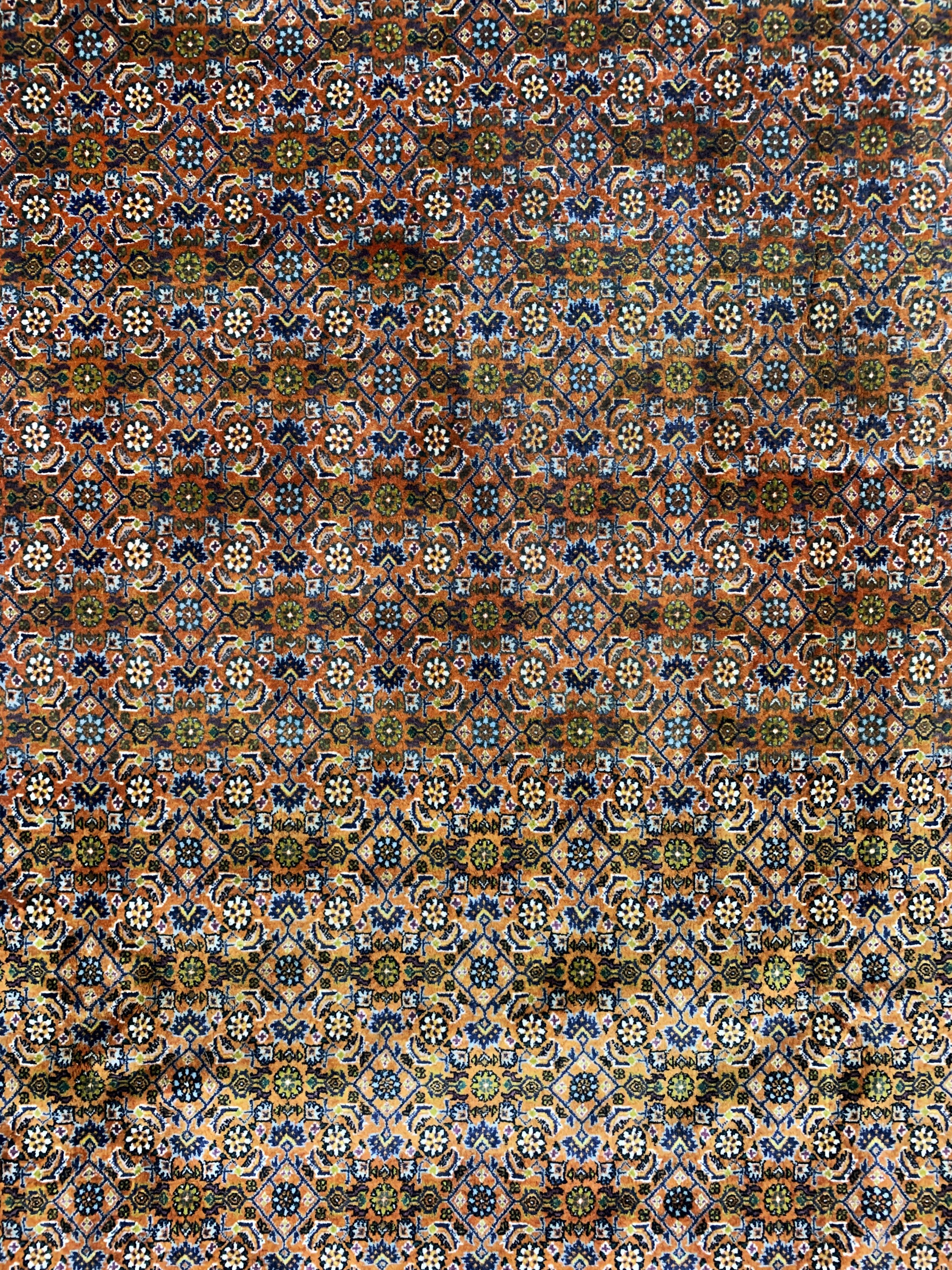 Detail c: Bidjar fein, Persien, Ende 20.Jhd, Korkwolle auf Baumwolle, ca. 289 x 209 cm, EHZ: 2 (Abrasch)