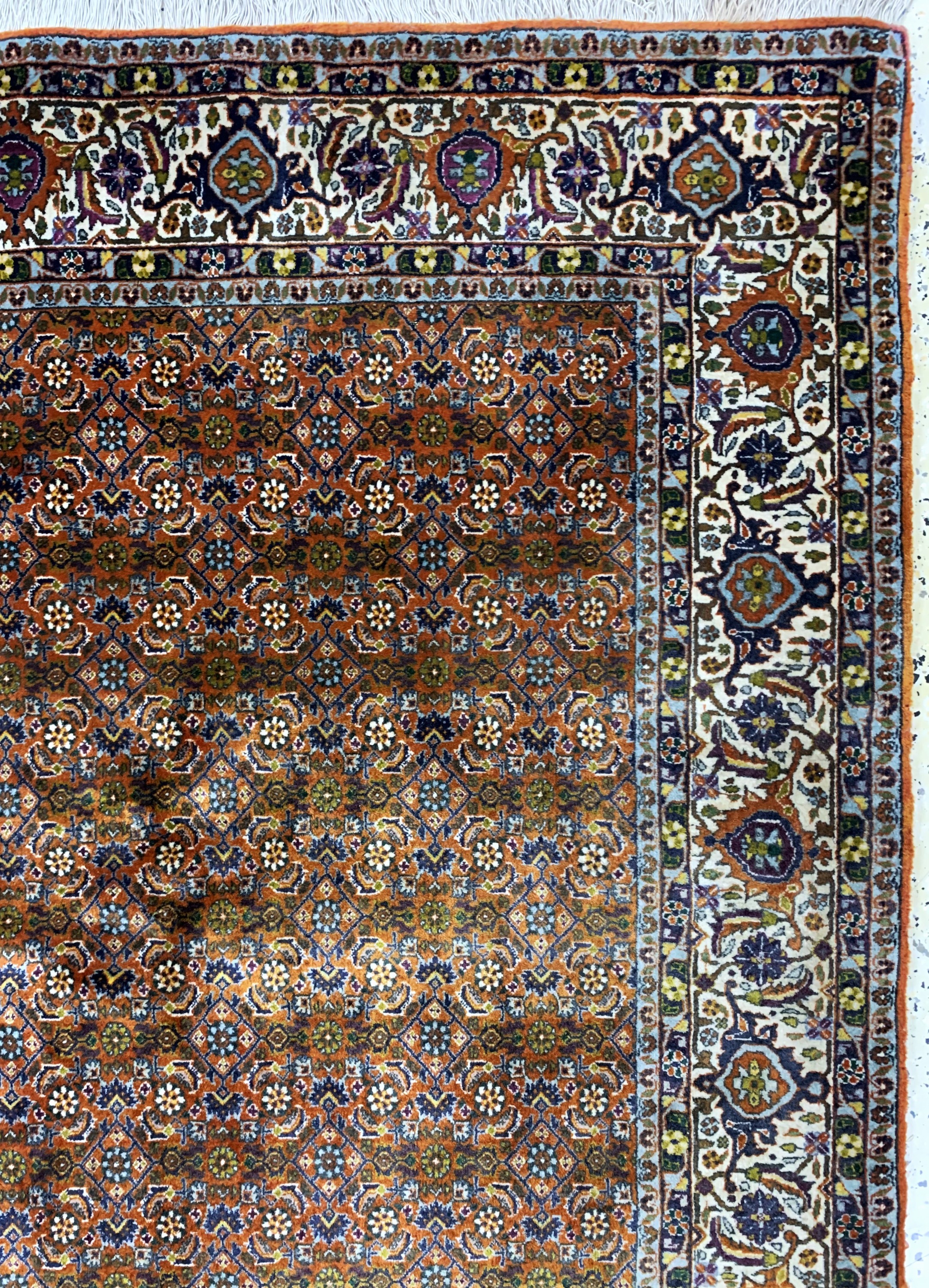 Detail e: Bidjar fein, Persien, Ende 20.Jhd, Korkwolle auf Baumwolle, ca. 289 x 209 cm, EHZ: 2 (Abrasch)
